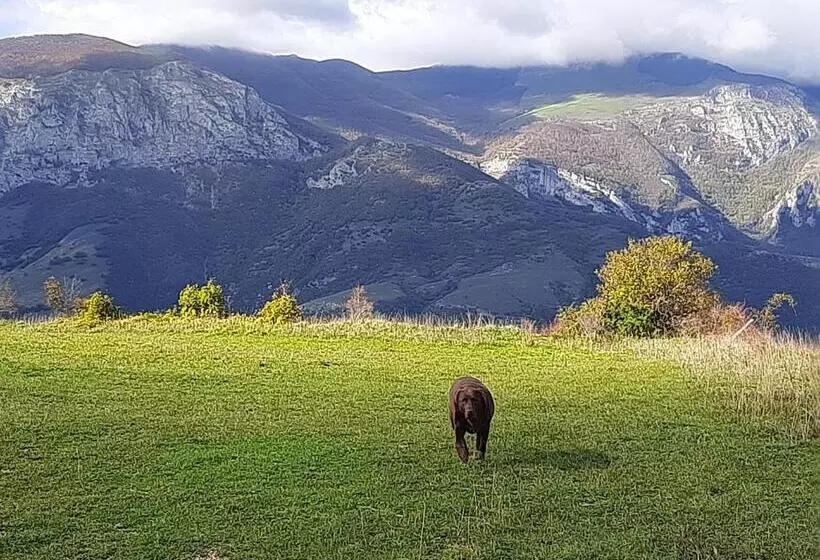 Bed & Breakfast Villa Monterosso