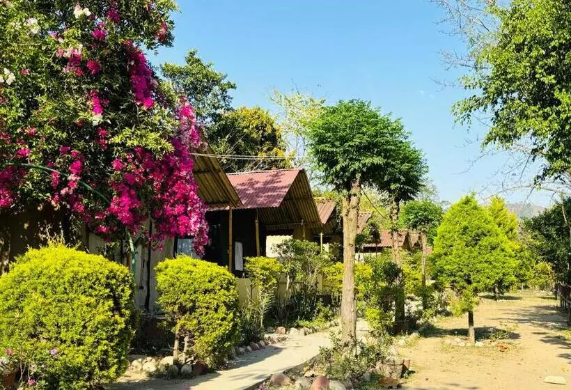 ホテル Camp High 5 Jayalgarh  By Himalayan Eco Lodges