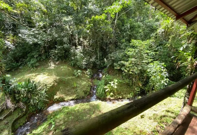 ホテル Esquipulas Rainforest
