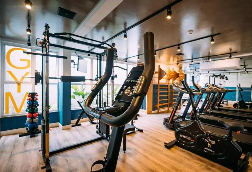Hotelli Ibis Styles Poços De Caldas