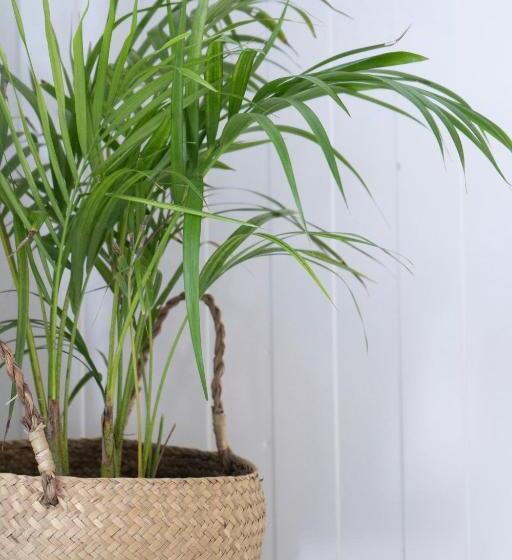 هتل Sea Green Boutique Rooms