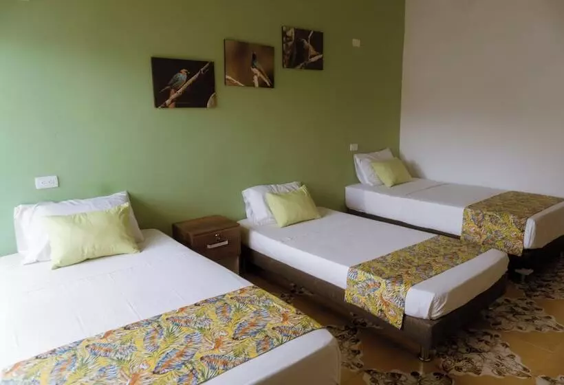 هتل Tuki Hostel & Lounge