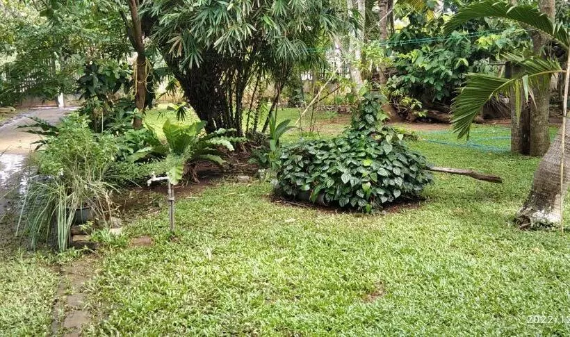 ペンション Dilupa Nature Resort