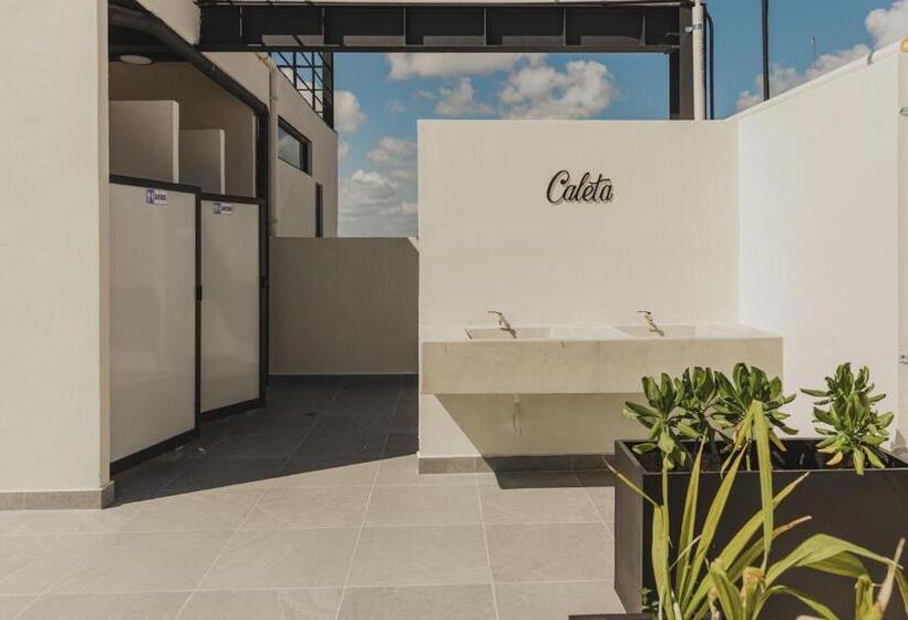 Caleta Hostel Rooftop & Pool