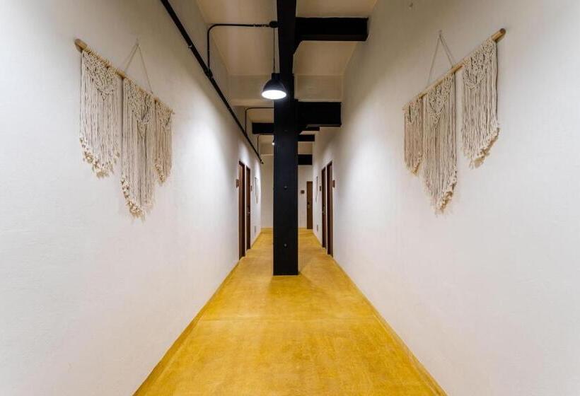 Caleta Hostel Rooftop & Pool