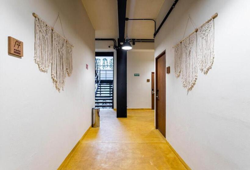 Caleta Hostel Rooftop & Pool