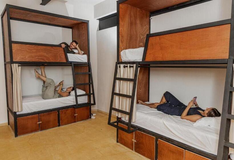 Caleta Hostel Rooftop & Pool