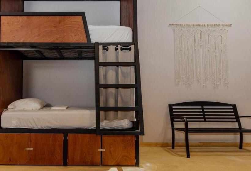 Caleta Hostel Rooftop & Pool