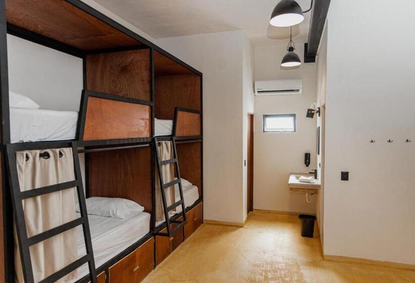 Caleta Hostel Rooftop & Pool