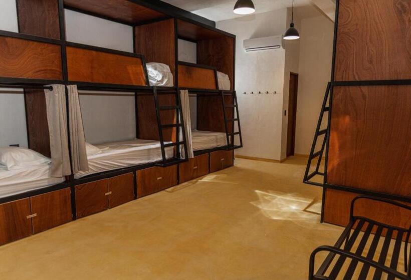 Caleta Hostel Rooftop & Pool