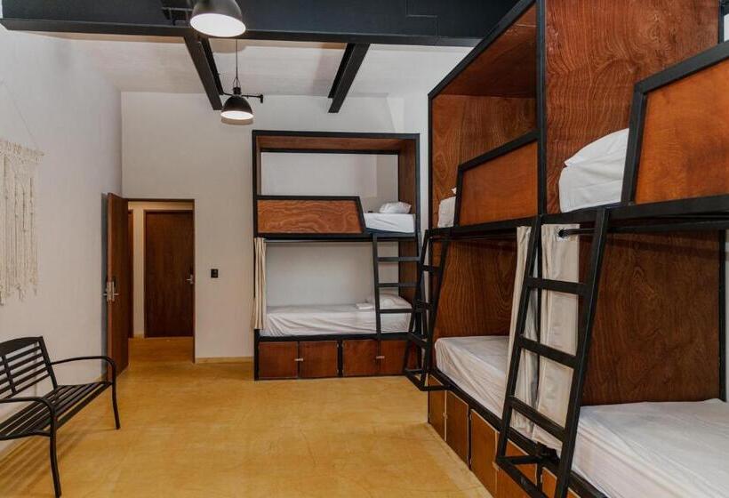 Caleta Hostel Rooftop & Pool