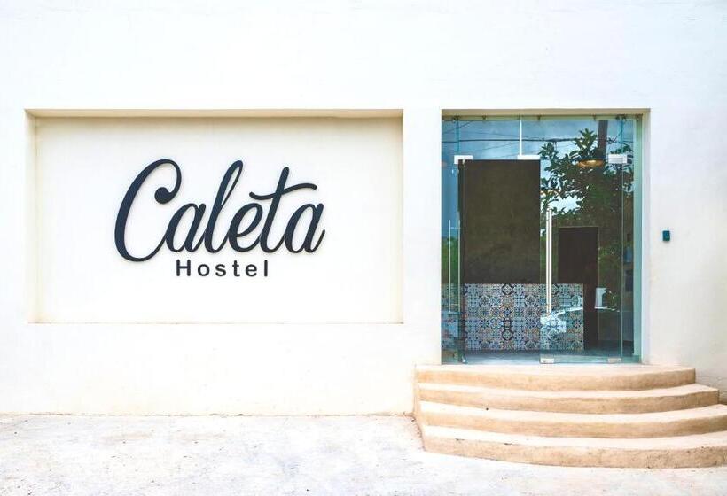 Caleta Hostel Rooftop & Pool