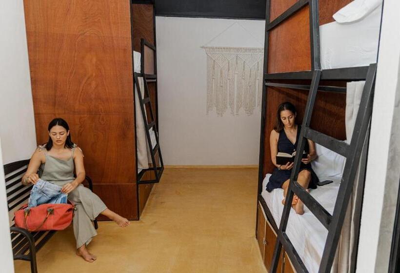 Caleta Hostel Rooftop & Pool