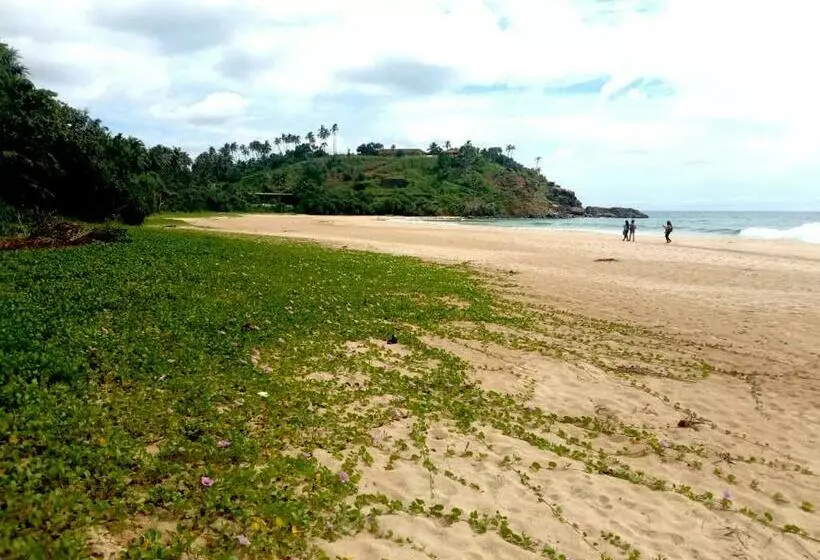 Hotelli Coconut Beach