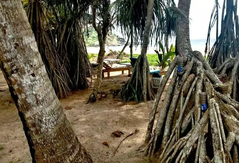 Hotelli Coconut Beach