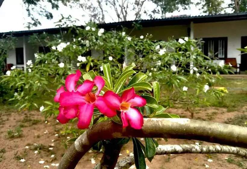 Hotelli Coconut Beach