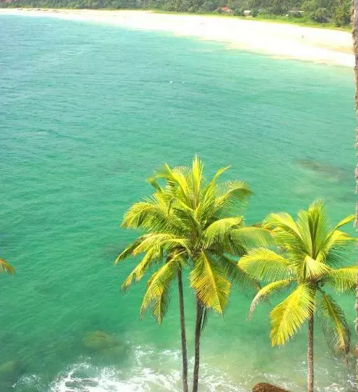 Hotelli Coconut Beach