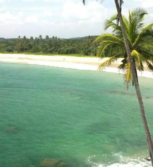 Hotelli Coconut Beach