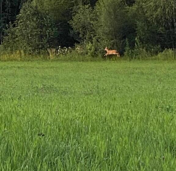 Hotel Fjellstad Gård   2 Minutes From E6 And 5 Minutes Drive From Steinkjer City