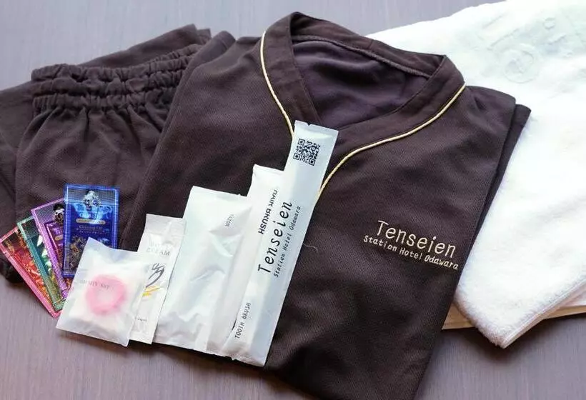 Hotelli Tenseien Odawara Station Annex