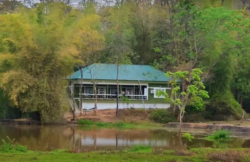 リゾートホテル Tusker Inn Wayanad Forest Villa By Voye Homes