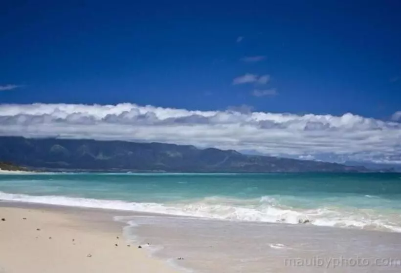 Bed and Breakfast Bamboo Valley Inn