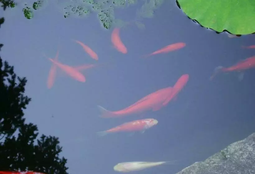 Bed and Breakfast Four Creeks Bed&breakfast