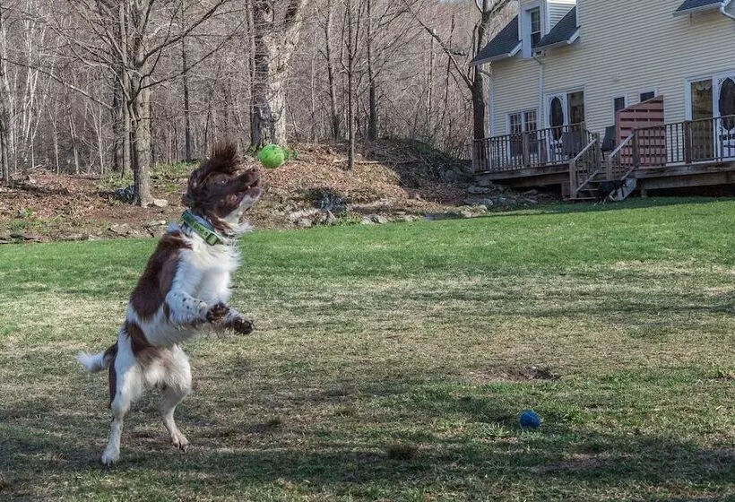 צימר Inn At Buck Hollow Farm
