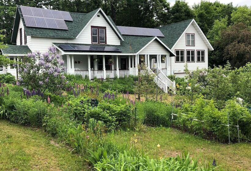 Bed and Breakfast Lucy's Place