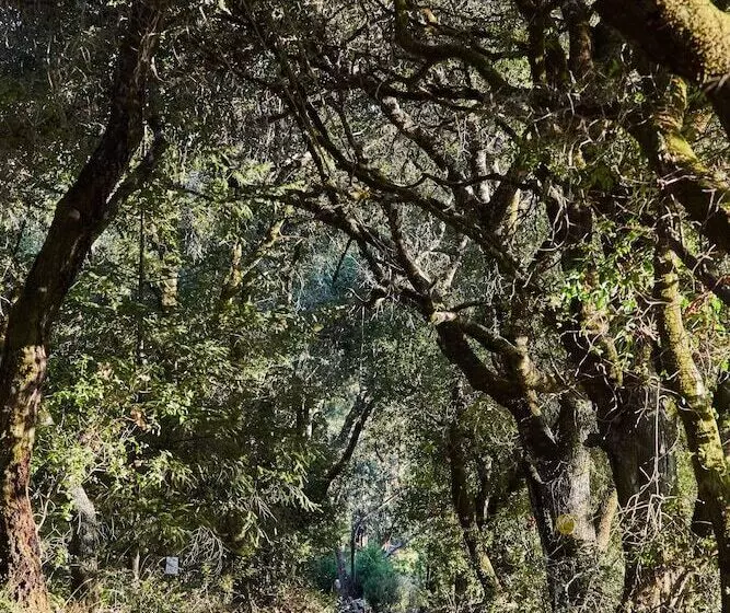 민박 Mine And Farm, The Inn At Guerneville, Ca