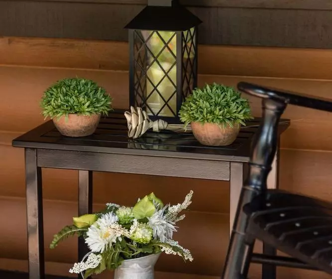 ベッドアンドブレックファースト Plantation Oaks Inn