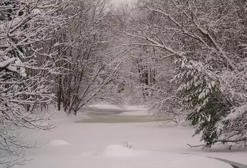 住宿加早餐 The Maples At Warner