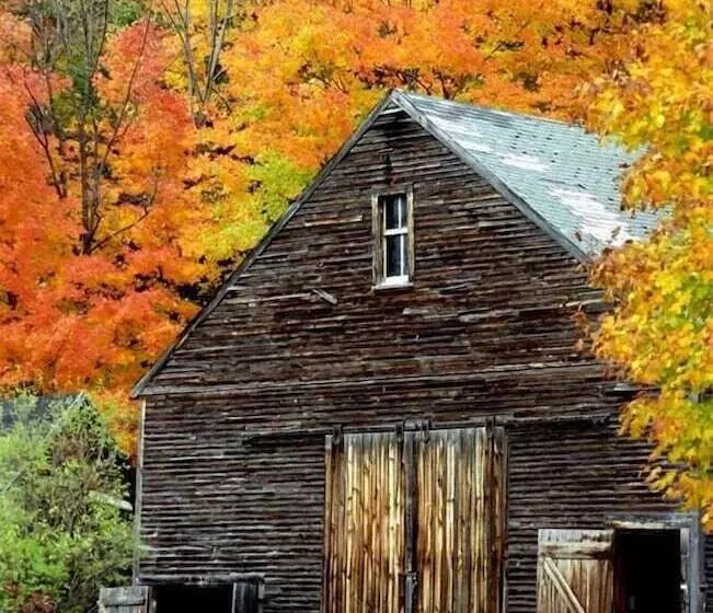 住宿加早餐 The Maples At Warner