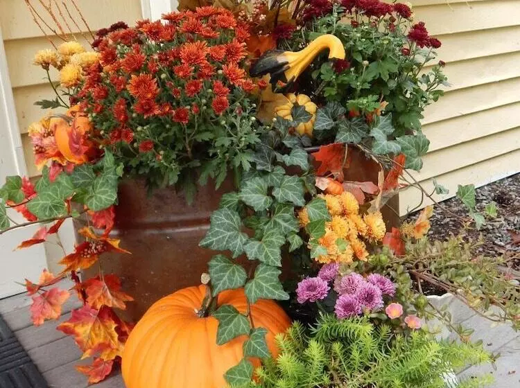 住宿加早餐 The Maples At Warner