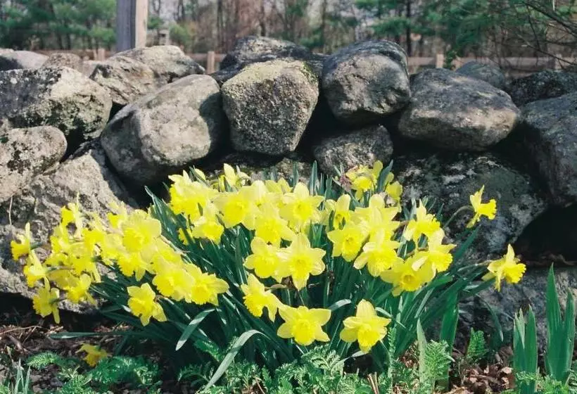 住宿加早餐 The Maples At Warner