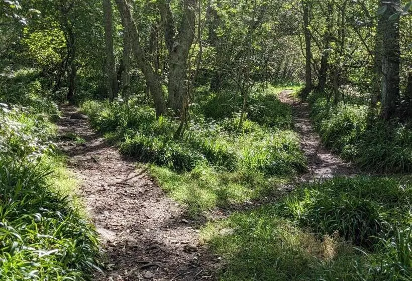 צימר Thornley House