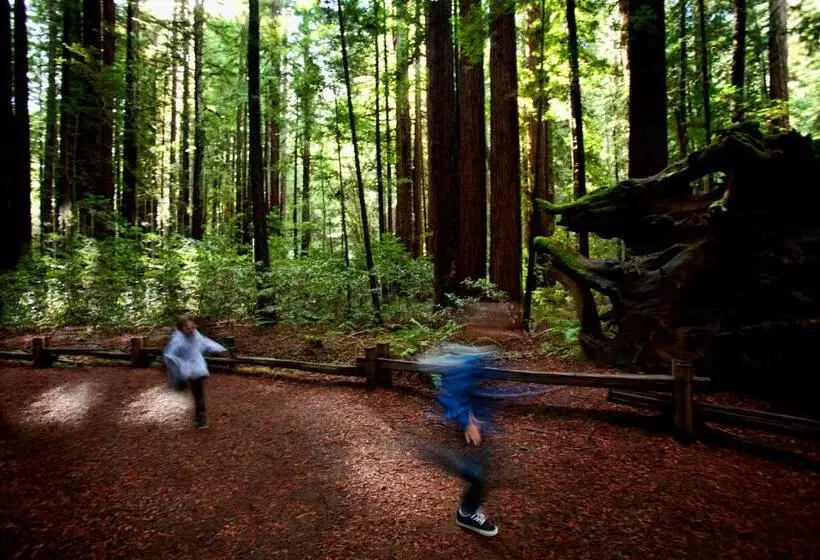 住宿加早餐  Cottages At Little River Cove
