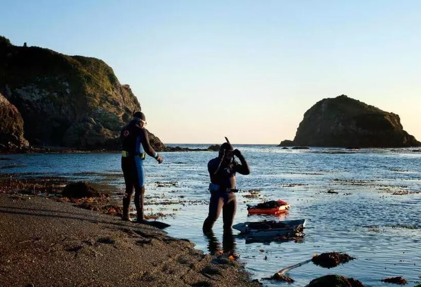住宿加早餐  Cottages At Little River Cove