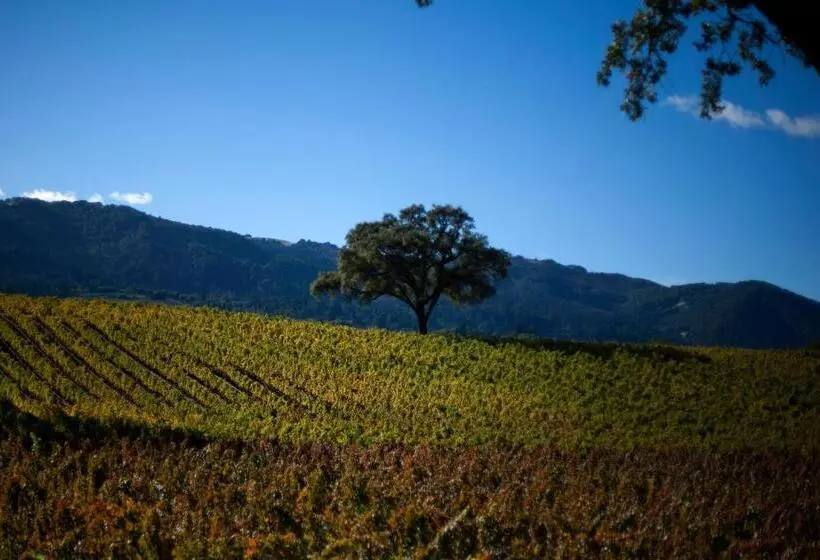 住宿加早餐  Cottages At Little River Cove
