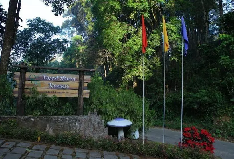 Hôtel Forest Haven Resort