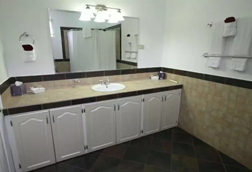 هتل L Orchidee Boutique