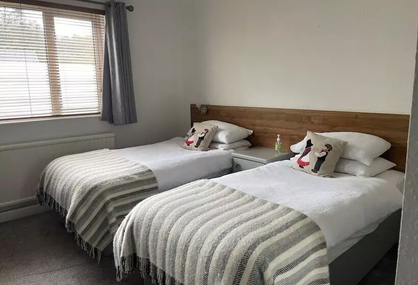 酒店 Salutation Inn