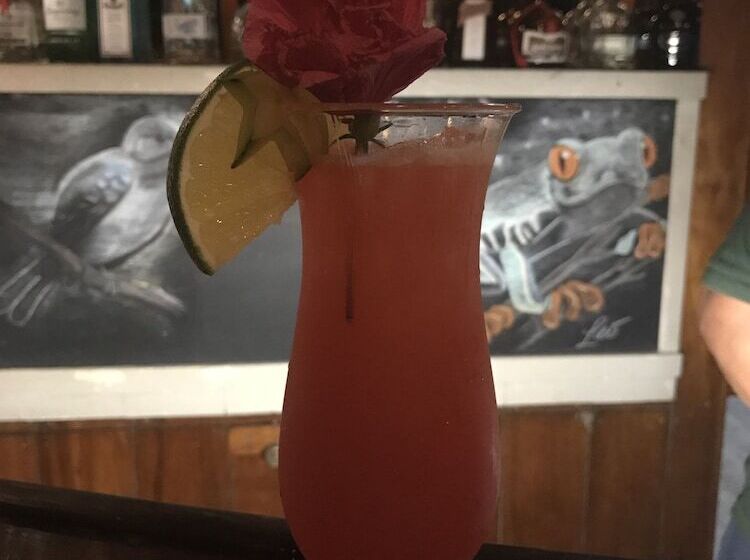 هتل St. George's Caye Resort