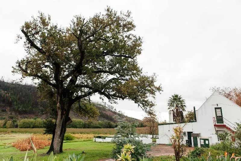 بنسيون La Providence