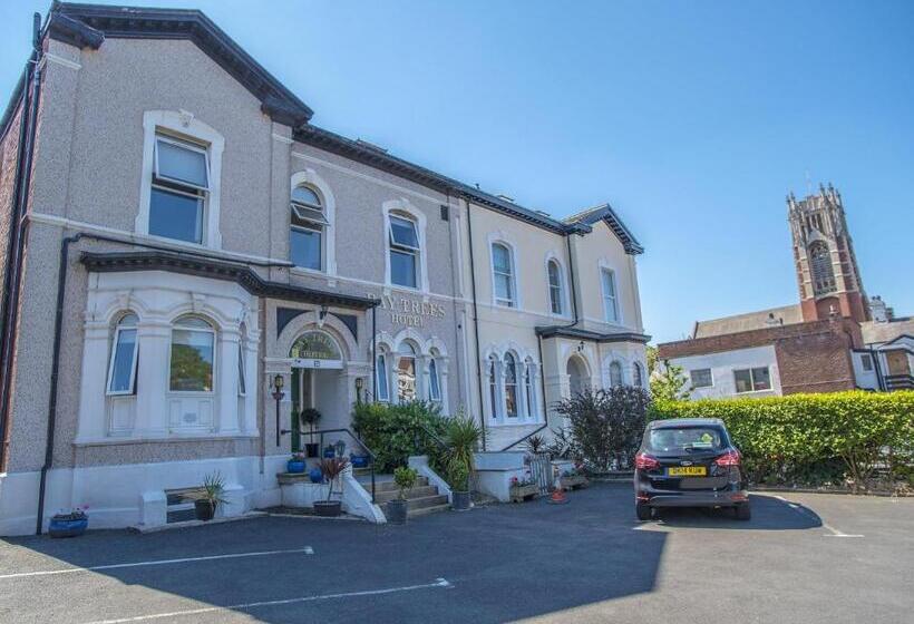 بنسيون Baytrees