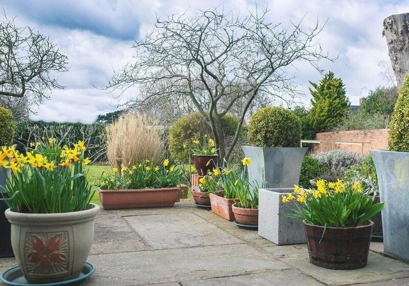 ペンション Somerville House