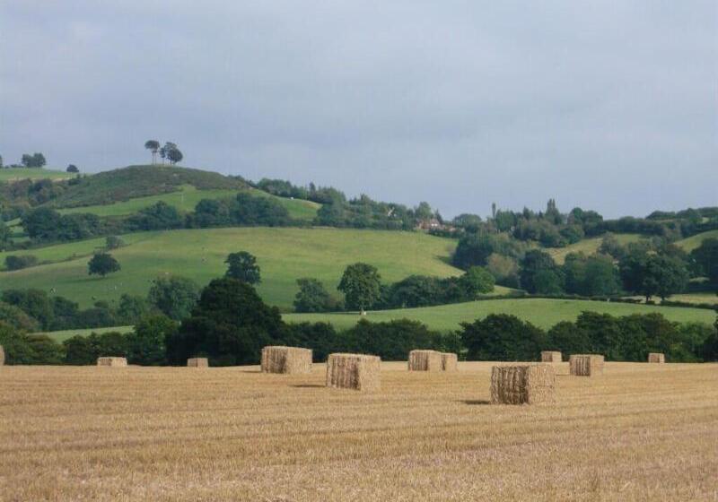 ペンション Somerville House