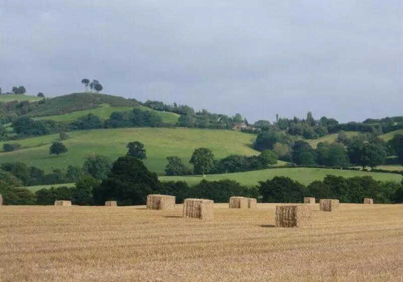 بنسيون Somerville House