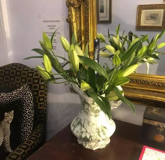 Majatalo The Georgian House