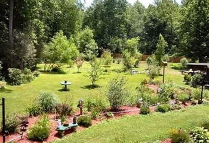 Rock Laurel Bed And Breakfast